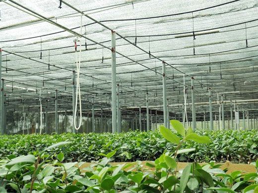 怎樣解決微滴灌的褶皺現(xiàn)象？